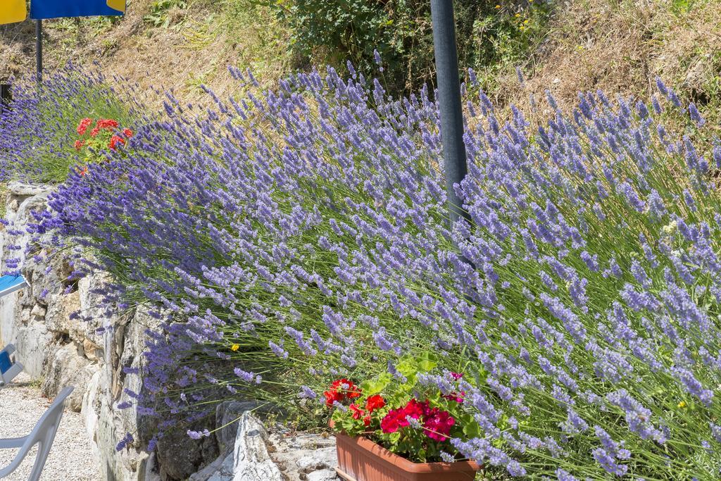 Agriturismo Monte Acuto Умбертиде Екстериор снимка