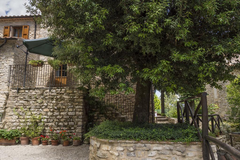 Agriturismo Monte Acuto Умбертиде Стая снимка